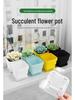 Exquisite Square Succulent Pots with Breathable Plastic Base for Office