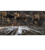 [USED] Anselm Kiefer PALAZZO DUCALE VENICE