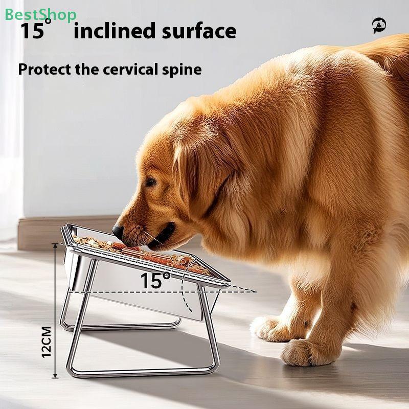 Edelstahl Doppelkammer Fressnapf für Haustiere Schräg Anti Zervikale Spondylose Für Katzen und Hunde Dual Use Futterspender