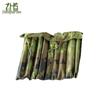 Zhonghaisen 30sqm Frame Tent Accessories