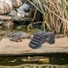 Pești și animale marine – Decorul acvariului