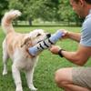Cute Stuffed Simulation Fish Cat Toy Soft Cat Shape Pet Squeaky Toy with Bell Bite Resistant Interactive Chew Toy Training Aid