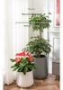 Nordic Creative Self-Watering Large Round Rattan Style Indoor Flower Pot for Green Plants