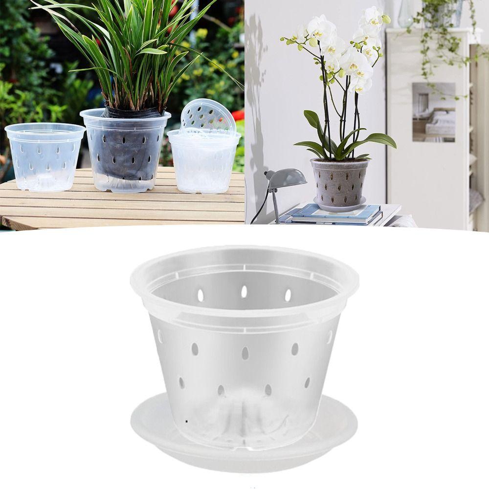1PC Root Control Transparent Flower Pot Hydroponic Basket Green Plant  for Home Garden