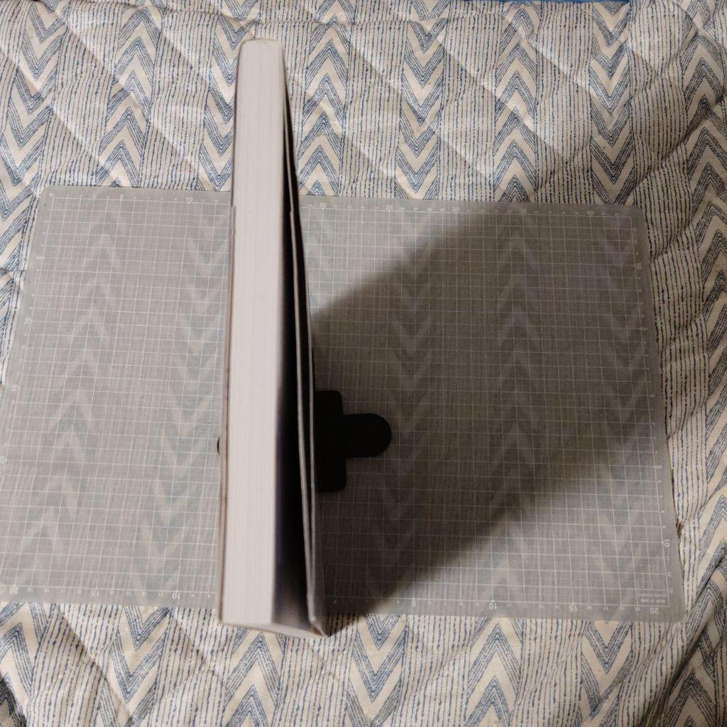 [USED] Sugiura Shiho Art Collection Silver Sound Blooming Moon Garden Flame Snow In the Night Forest