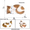 Three-Color Animal Model Plush Cat Toy - British Shorthair, Siamese, Persian, Orange, and Leopard Cat Simulation for Kids.