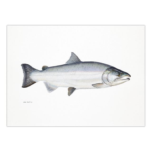 Decorative Painting Retro Fish Restaurant Hotel Paintings Animal Print Wall Pictures for Living Room Flatfish Wall Art Canvas