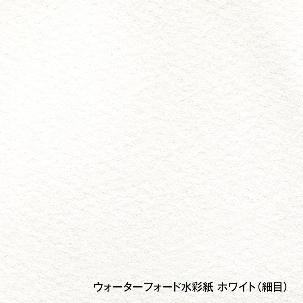 HOLBEIN Waterford Watercolor Paper Fine F6 Block 12 270964 EHBH-F6 White, Grain, 300g, Size, Type, Sheets,