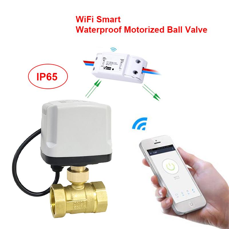 Tuya WiFi Smart Waterproof Electric Ball Valve Brass Timing Switch Smart Life Control Support Alexa Google Home Water Valve 220V DN15