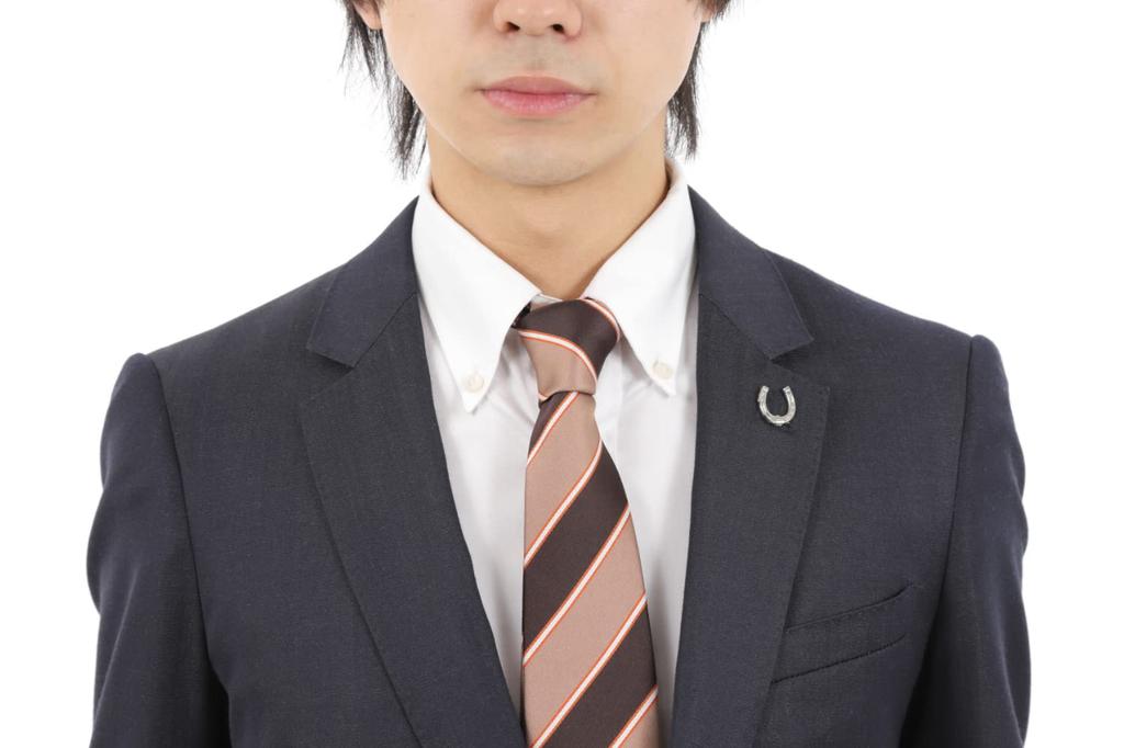 Hufeisen-Motiv Anstecknadel, Schmetterlingsverschluss, Symbol des Glücks, Leichtes Legierungszubehör, Glücksbringer, Geschenk (C0070)