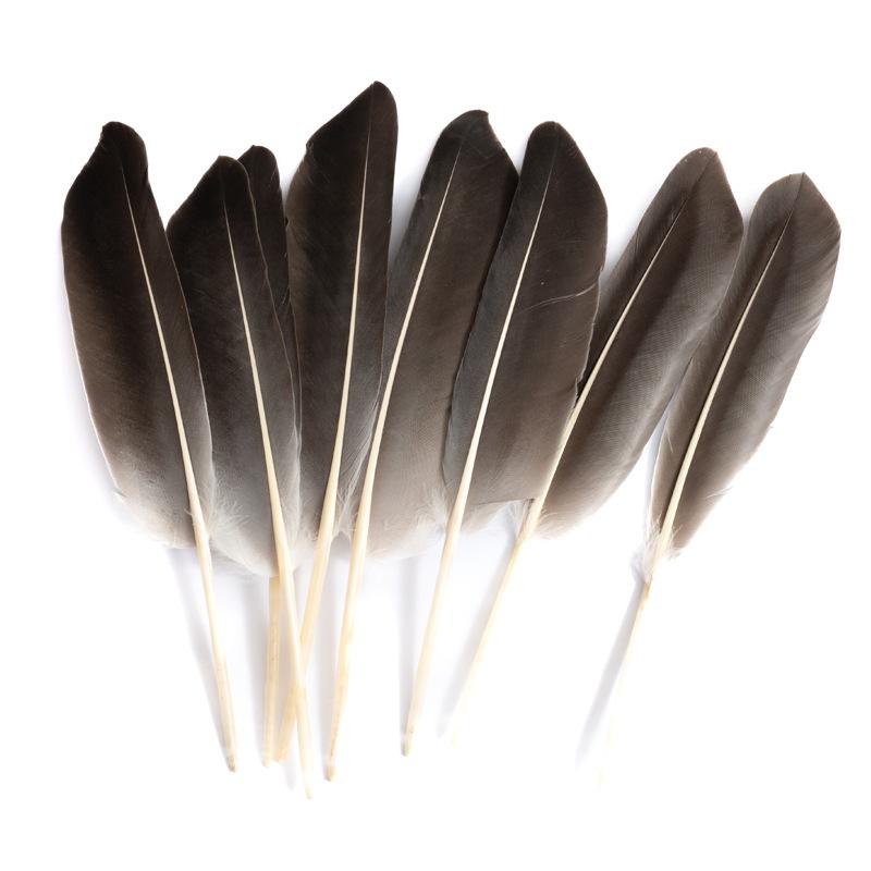 80 Natural Pheasant Feather Decorative Diy Jewelry Hair Accessories Material Cat Stick Toy Accessories