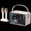 Philips TAS5519 Portable KTV Speaker with Dual Wireless Microphones (CN Version)