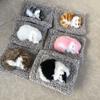 Pisică Dormind Simulată cu Cărbune Activ Imitație Animal Ornament pentru Casă Mașină Decorațiune Cadou de Ziua de Naștere Deodorant de Casă