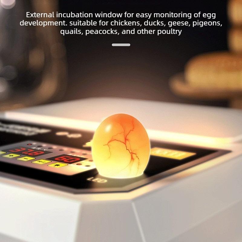 Mini Fully Automatic Poultry Egg Incubator with Auto Egg Turning Household Brooder for Hatching Chicken Duck Goose Bird Eggs