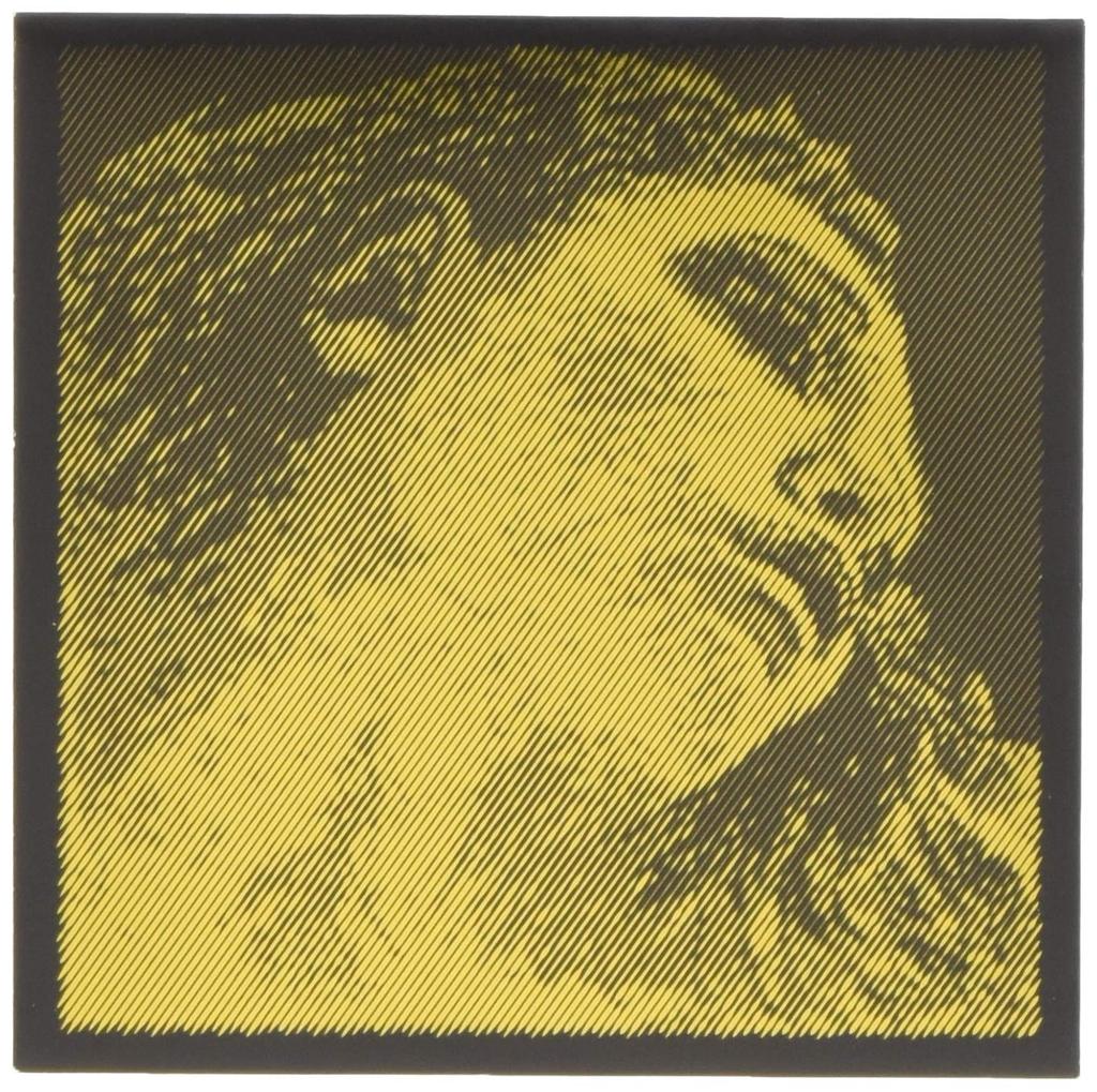 EVAH PIRAZZI GOLD Eva Pirazzi Gold Violin String Set String String Loop (G Gold) (E End)