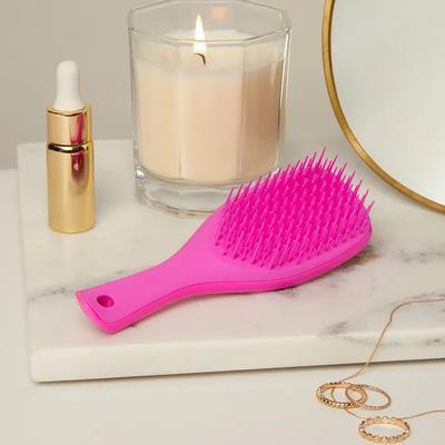 Wet Detangler Mini Runway Pink