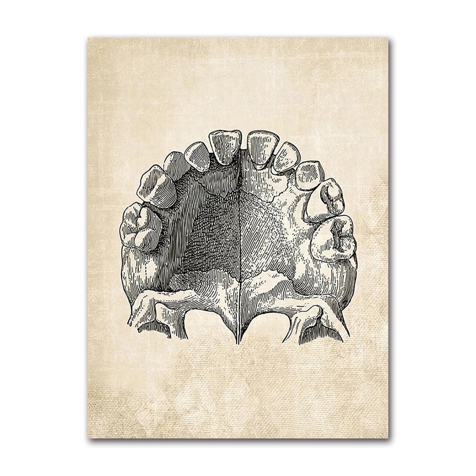 Wandbilder für Krankenhaus, Arzt, Büro, Dekor, Wandkunst, Leinwand, Malerei, Anatomie, Skelett, nordische Poster und Drucke, Vintage