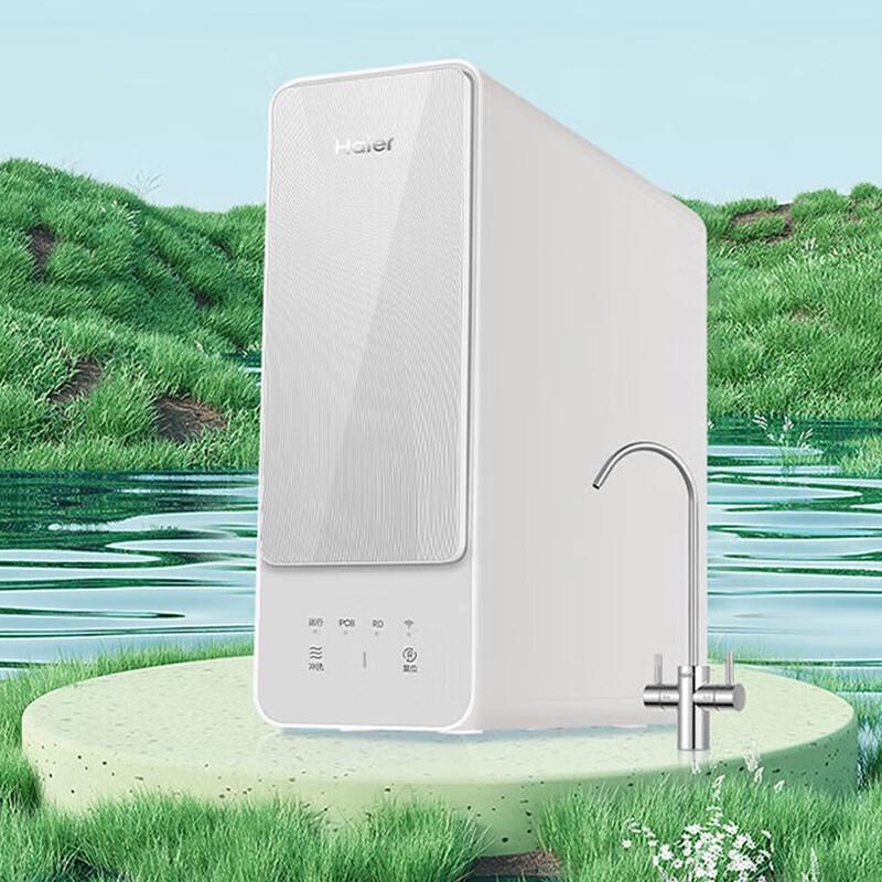 Haier Naturpai 1000G Under-Sink RO Water Purifier CN plug (adapter included)
