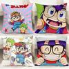 K-KKawaii DDDr. SlumpS Cushion Cover Comfortable Reversible Pillow Cover Ideal for Car Sofa Bedroom & Beyond