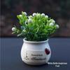 Auspicious Fruit & Green Plant Car Ornament - Faux Ceramic Potted Flower for Creative Interior Decoration