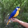 Colorful Large Parrot Decorative Ornament with Feathers
