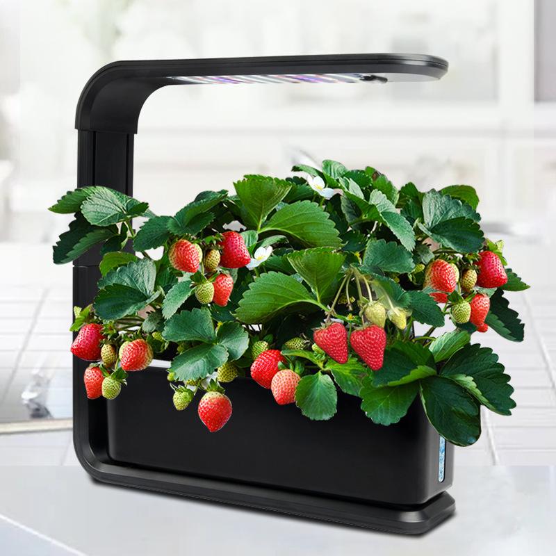 Smart Indoor Hydroponic Garden Planter - Soilless Vegetable Growing System