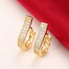 Exquisite Fashion Micro Shop Zircon U-Shaped Earrings Girl Wedding Valentine'S Day Gift Jewelry Pendant Wholesale