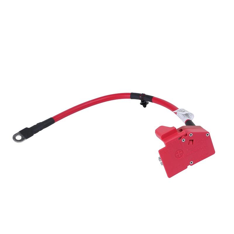 61128796155 Car Positive Battery Cable 61128796959 61128704706 For BMW 3 4 Series G20 G21 G22 G23 H2