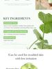 medicube Exosome CICA Tea Tree Calming Ampoule