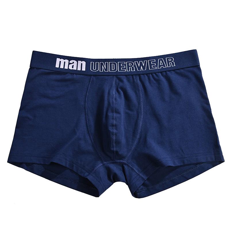 Men Underwear Shorts High Quality Underpants