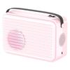 Multifunctional Pet & Home Dryer - Compact Hair & Clothes Dryer for Cats and Dogs