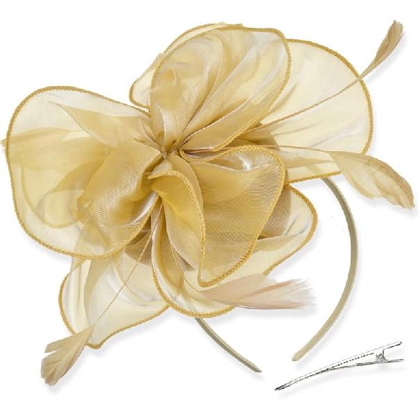 DRESHOW Fascinators Hat Tea Party Headwear Ribbons Feathers on a Headband and a Clip for Women