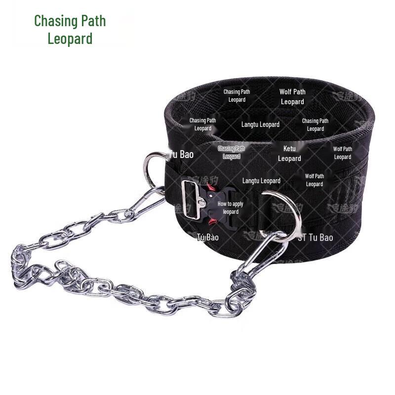 Zhui Tu Bao Weighted Dip Belt