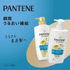 Pantene Moist Smooth Repair Shampoo 600mL Extra Large Refill Size