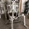 Halloween Skeleton Prop Human Full Size  Hand Life Body Anatomy Model Decor