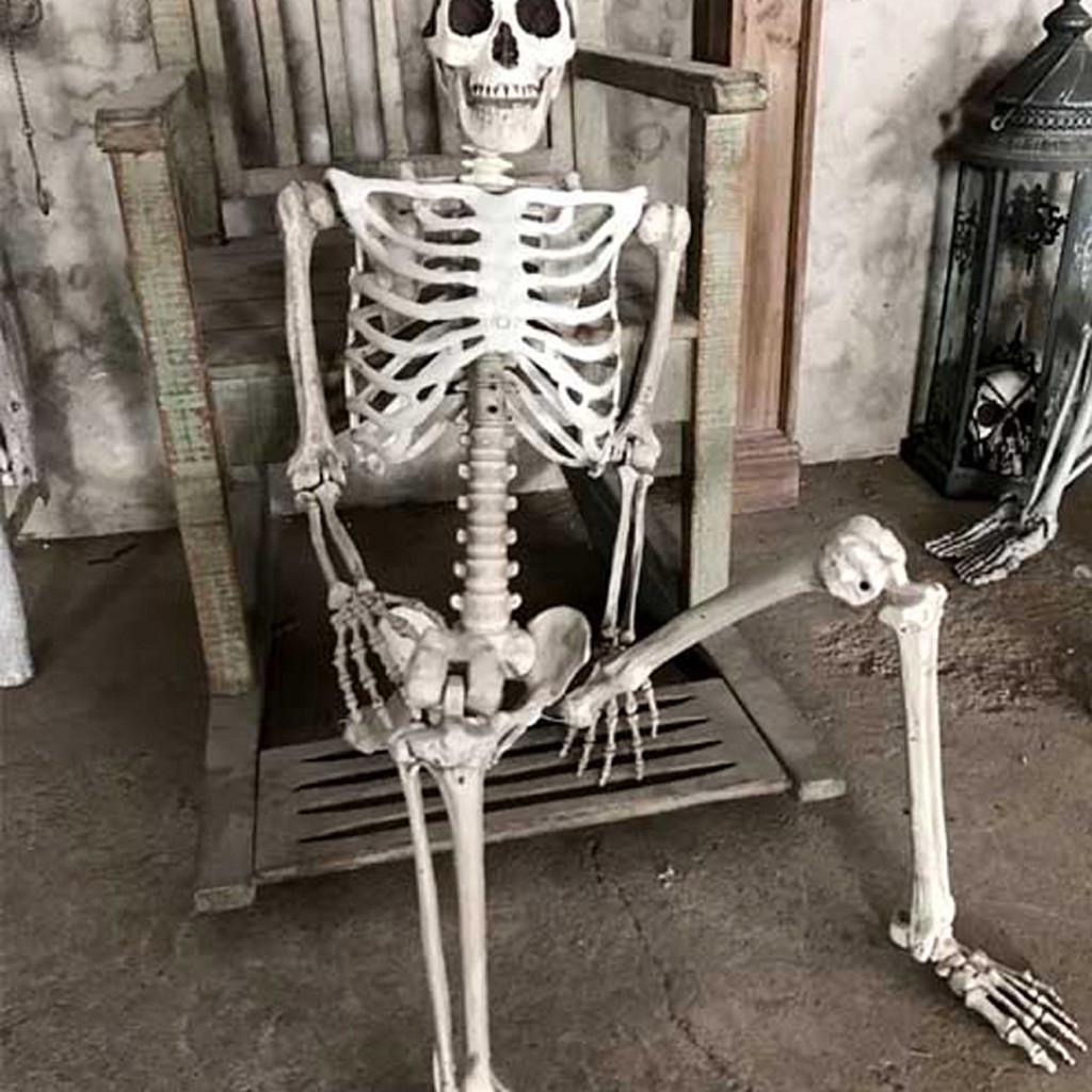 Halloween Skeleton Prop Human Full Size  Hand Life Body Anatomy Model Decor