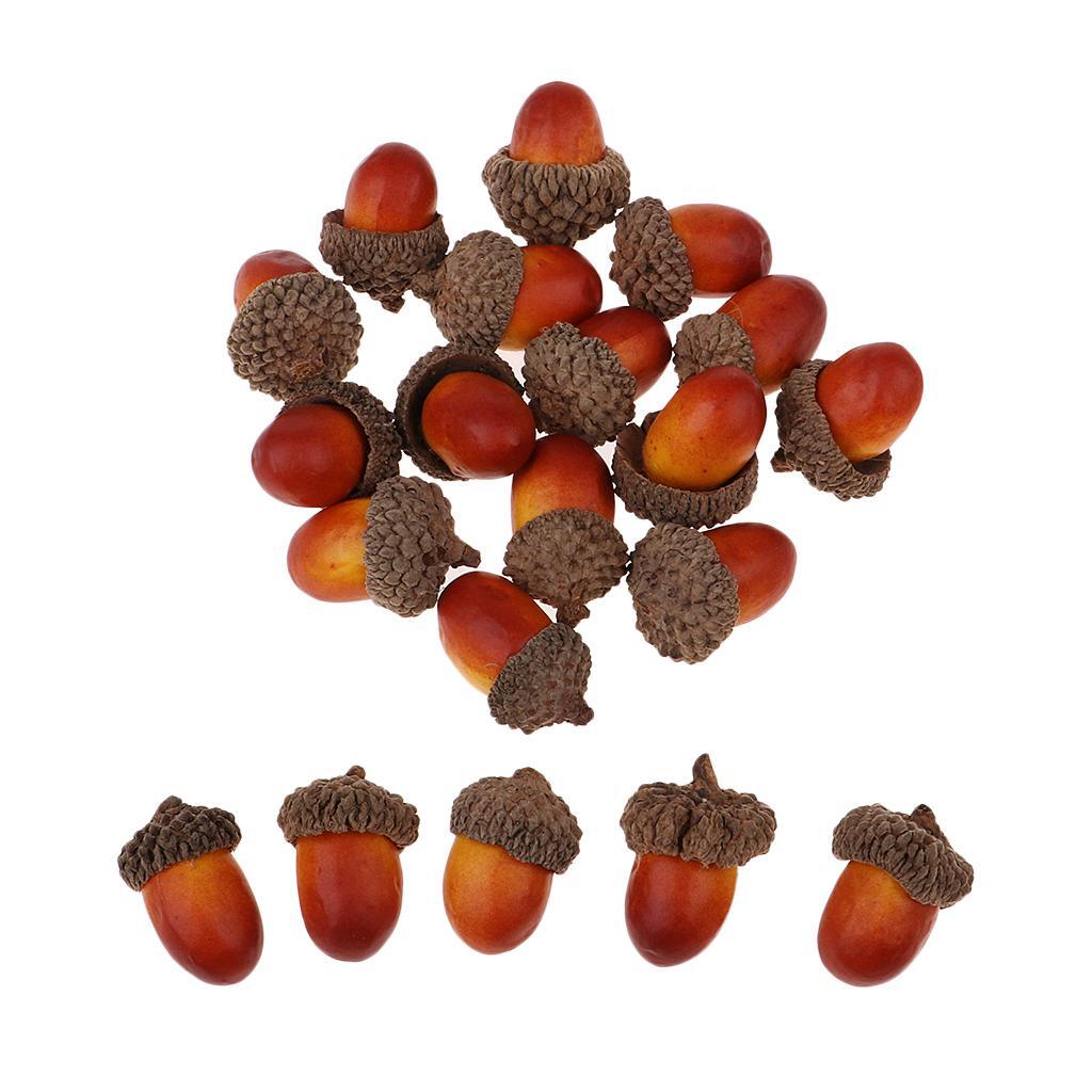 100Pcs Natural Acorns Real Acorns Caps Home DIY Christmas Natural Acorn