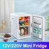 Mini Frigider 8L Portabil Mașină Casă Frigider Cosmetice Călătorie în Aer Liber Camping Răcitor Băuturi 12V/220V
