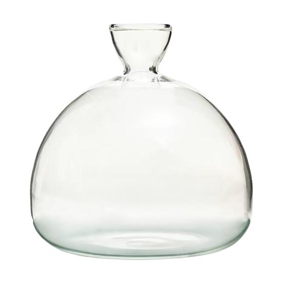Hydroponic Plants Glass Vase Transparent Propagation Terrarium