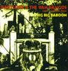 7inch Record BABYLOVE  THE VAN DANGOS COOLIE R  Big Big Baboon BBR053 Black Butcher R Germany Reggae Ska  Dub Used
