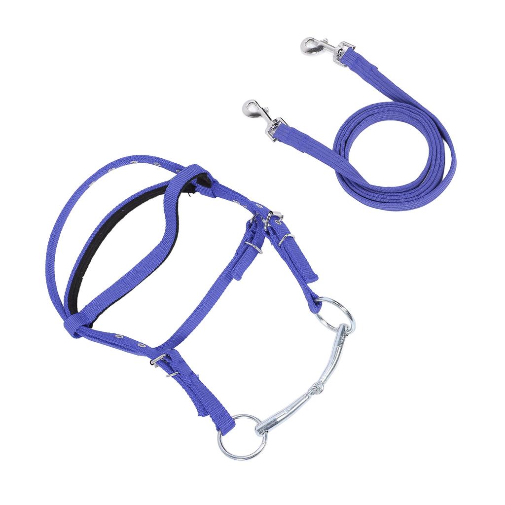 Horse Bridle Rein Nylon Stylish Adjustable Horse Bridle Headstall Equestrian Rein Blue L( For Horses with Shoulder