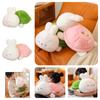 Turtle Rabbit Doll Plush Toy Home Decor Children Girls Gift Pillow Sleeping