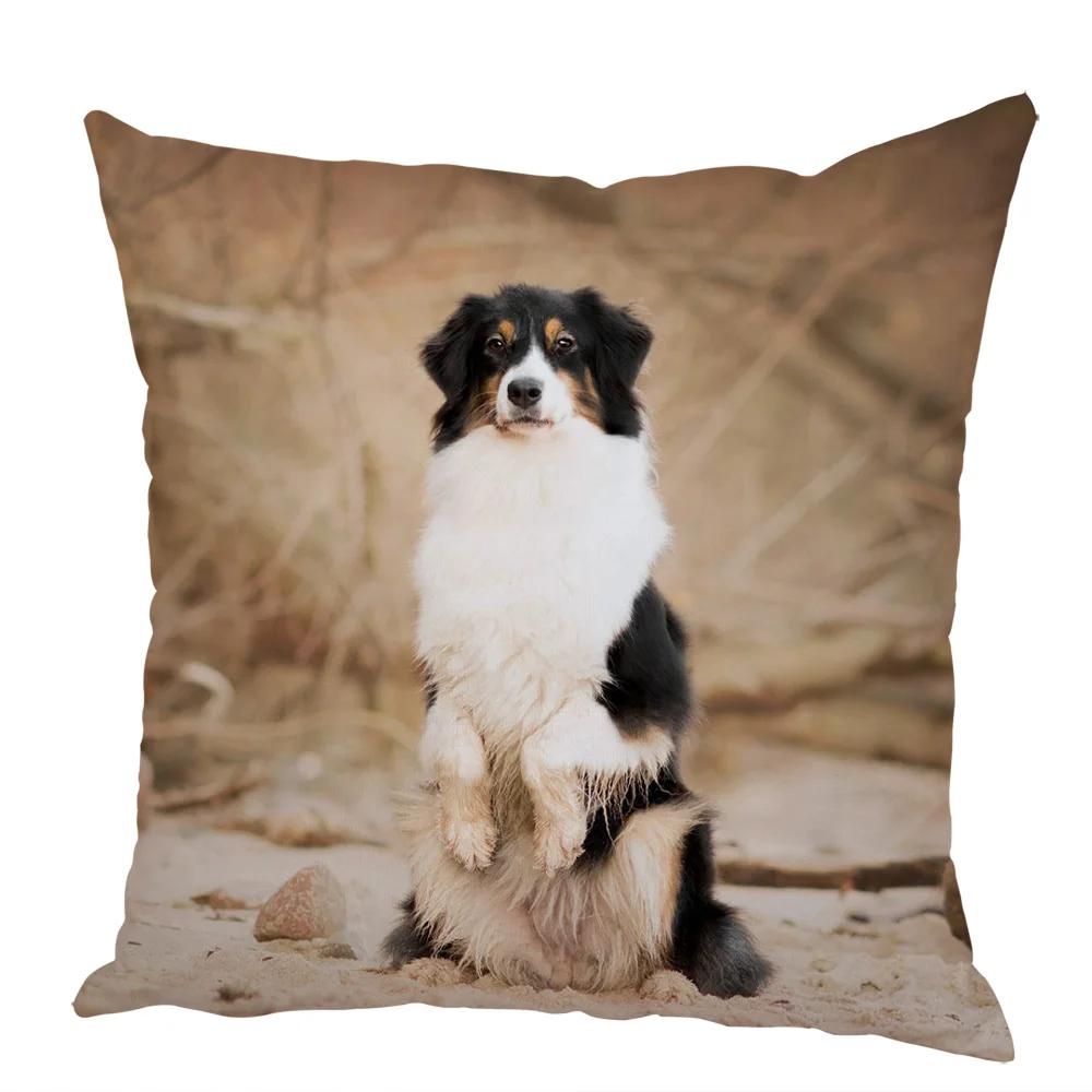 Cute Australian Shepherd Dog Pillow Case Peach Skin Decor Pet Animal Cushion Cover Thorw Pillowcase for Sofa Home Car 45x45cm