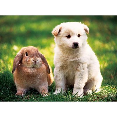 150 Piece Jigsaw Puzzle - Rabbit and Dog, Popular Korean Puzzle