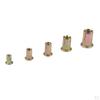 100 Steel Threads Flat Head Rivet Nuts Assortment Zinc Finish