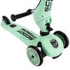 Hulajnoga dziecięca Scoot Ride Highwaykick1 Highway Kick 1 96355 Scoot&Ride i Kiwi/KIWI [Element]