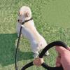 New Dog Leash Slip Rope Lead Leash Heavy Duty Braided Rope Adjustable Loop Collar Training Leashes For Small Medium Dogs