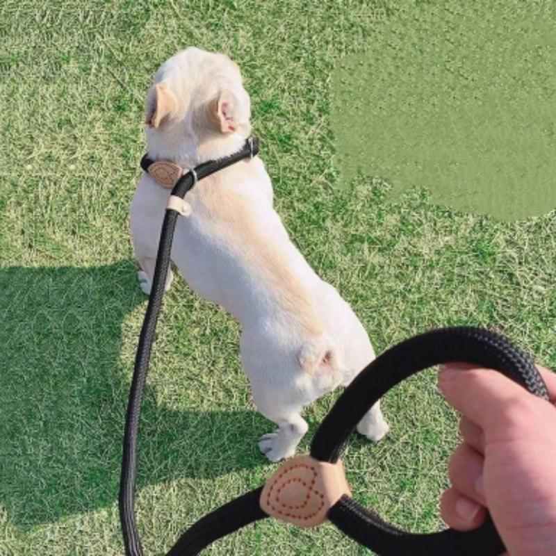 New Dog Leash Slip Rope Lead Leash Heavy Duty Braided Rope Adjustable Loop Collar Training Leashes For Small Medium Dogs