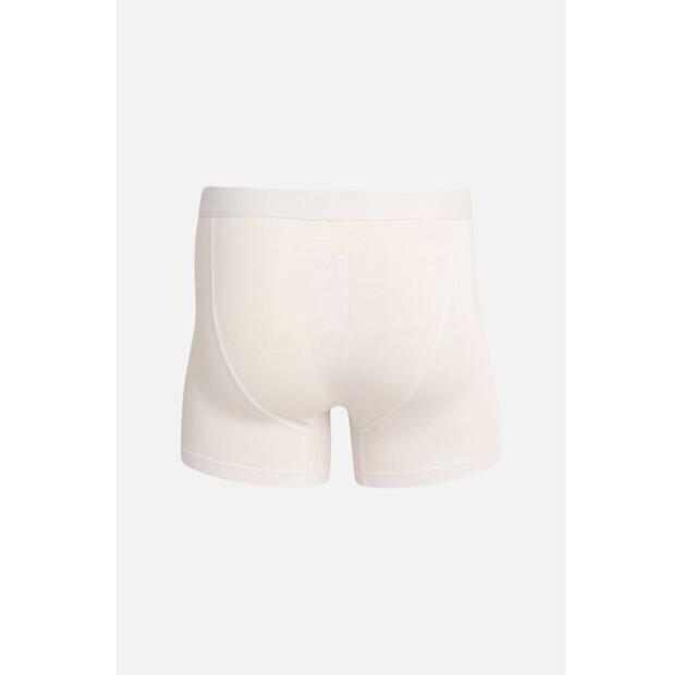 Боксеры TeeShoppen Perform Collection