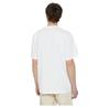 Dickies Short Sleeve Park T-Shirt